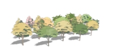 草图大师模型树林图片
